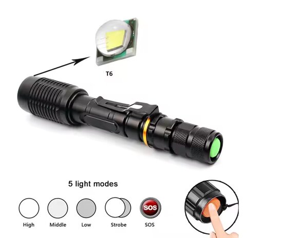 Zaklamp 10watt Led